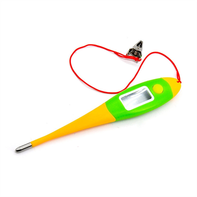 Professional Digital Thermometer