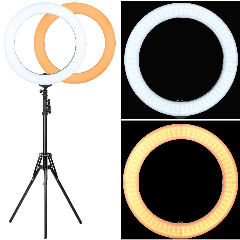 5500K Led Selfie Ring Light with Tripod Stand for Professional Quality Videos and Pics